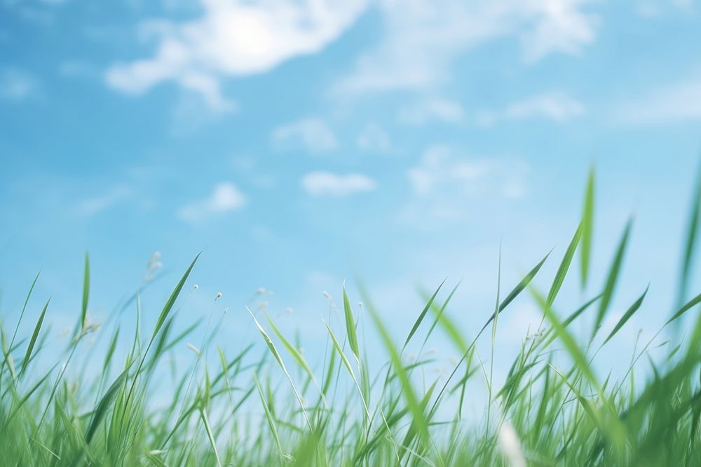 Grass lawn wallpaper sky backgrounds | Premium Photo - rawpixel