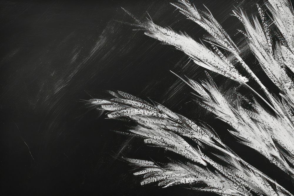 White chalk drawing texture backgrounds blackboard plant.