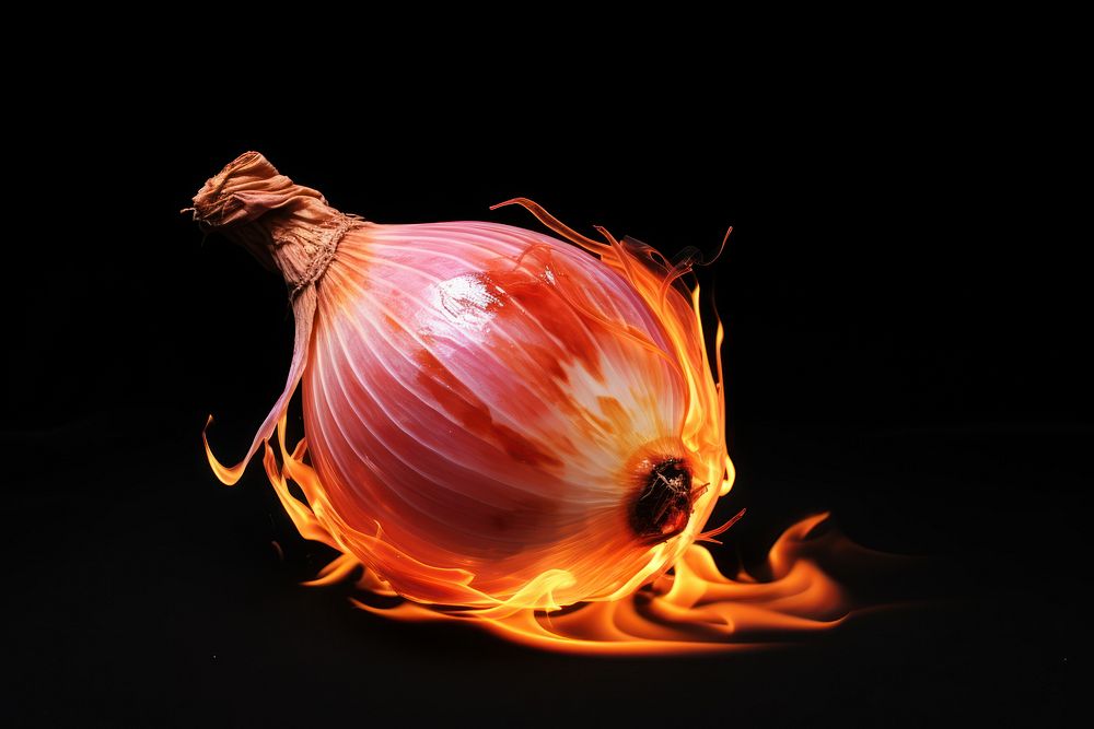 Onion fire vegetable shallot.