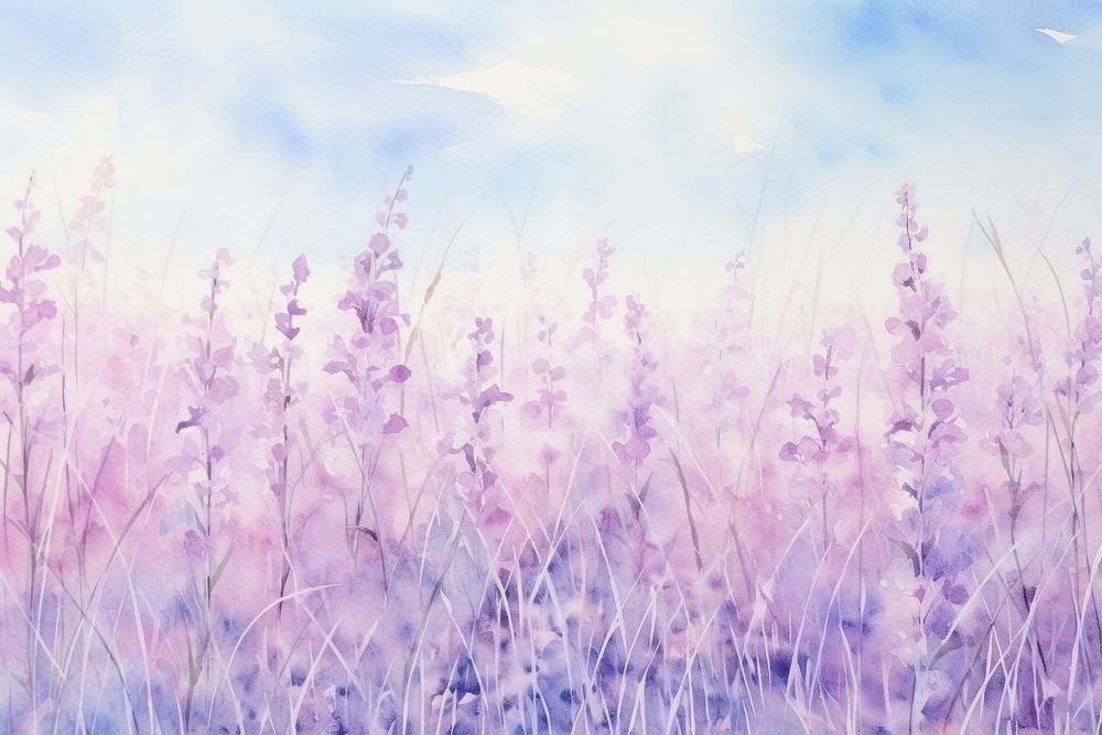 Orchid field backgrounds landscape lavender. | Premium Photo ...