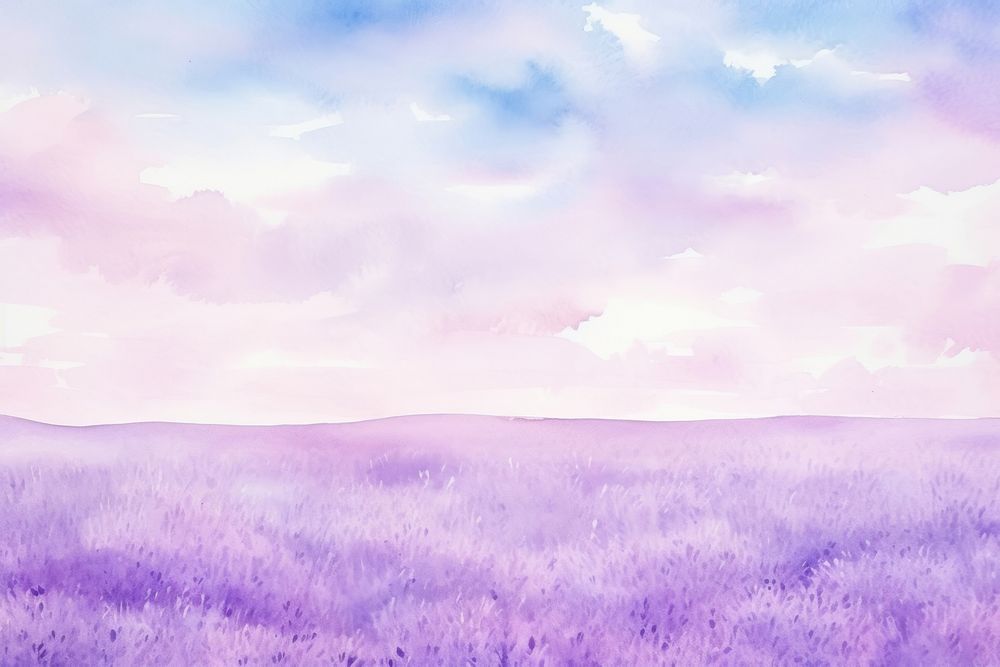 Lavender field sky backgrounds.