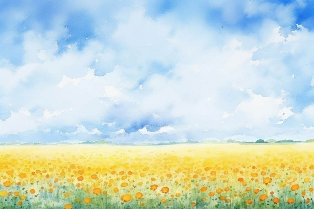 Field sky backgrounds landscape.
