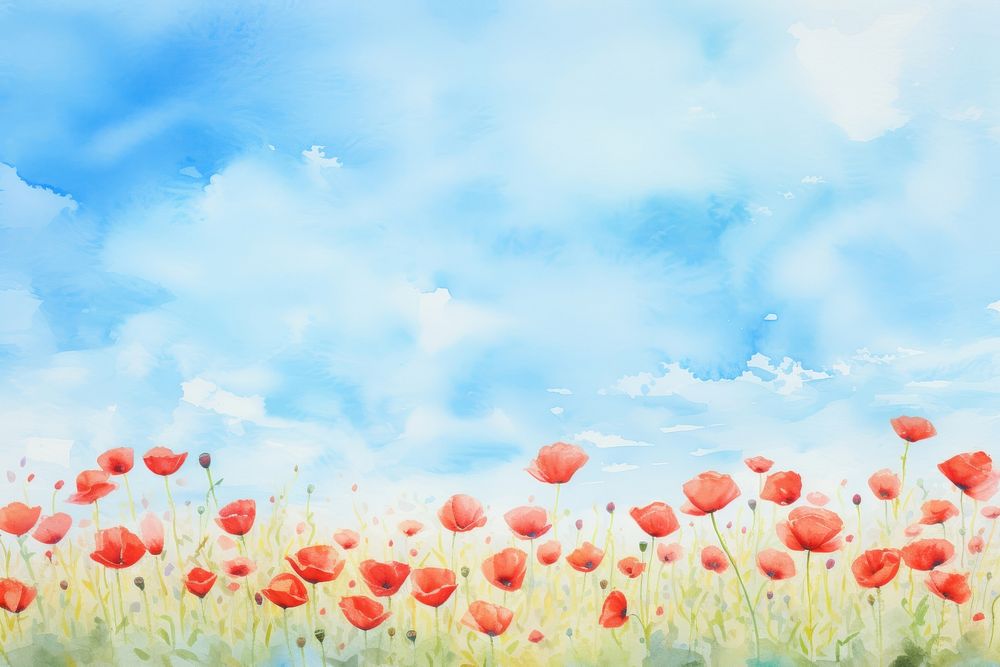Painting poppy backgrounds outdoors.