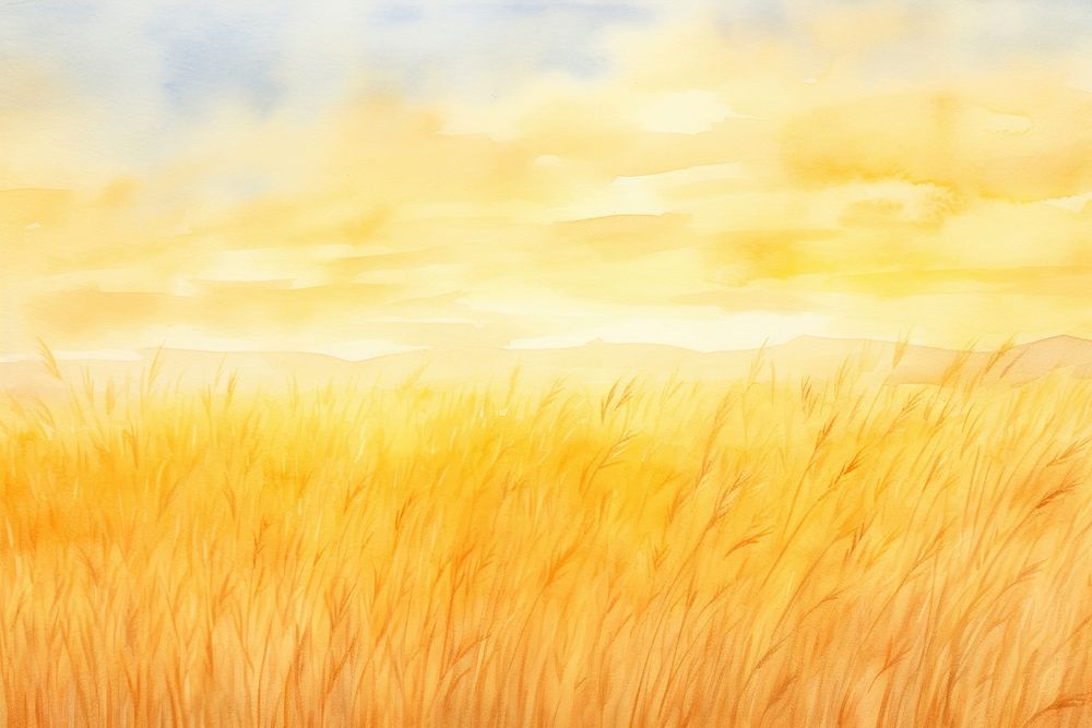Sunset sky barley fields painting backgrounds outdoors.