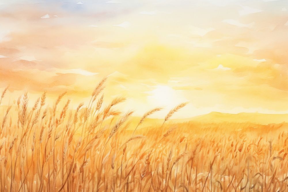Sunset sky wheat fields backgrounds outdoors painting.