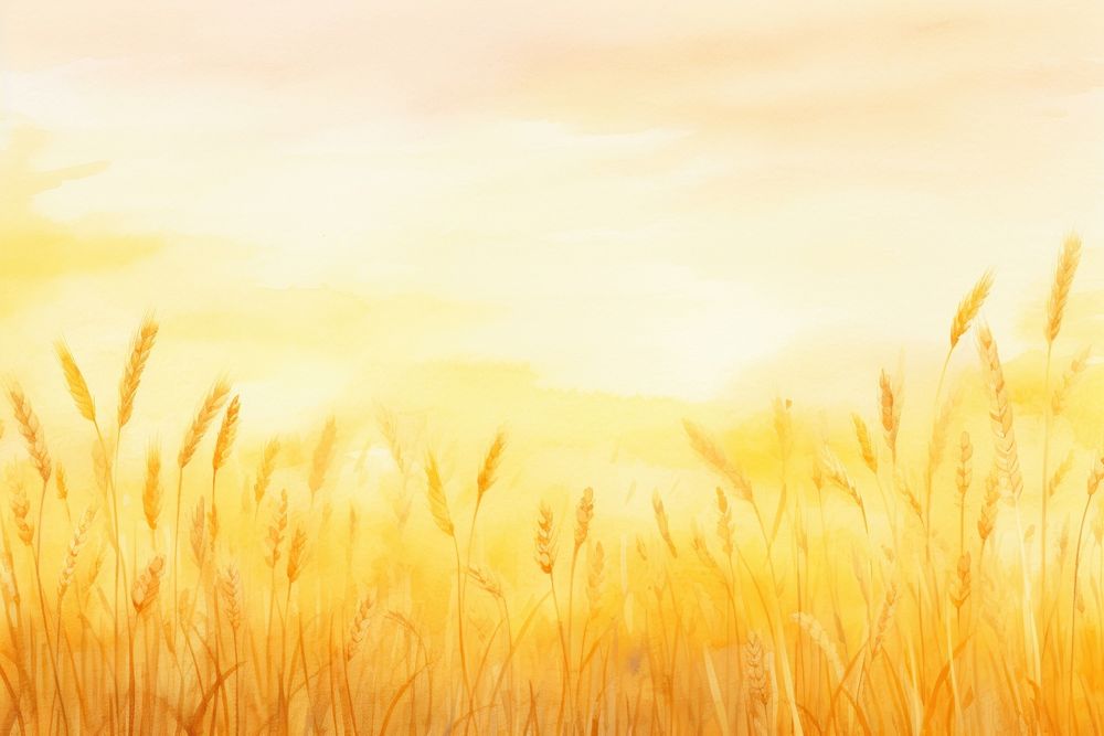 Sunset sky wheat fields backgrounds outdoors nature.