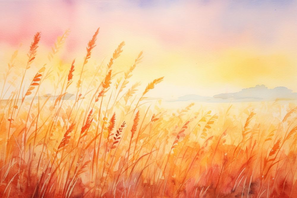 Sunset meadow backgrounds outdoors painting.