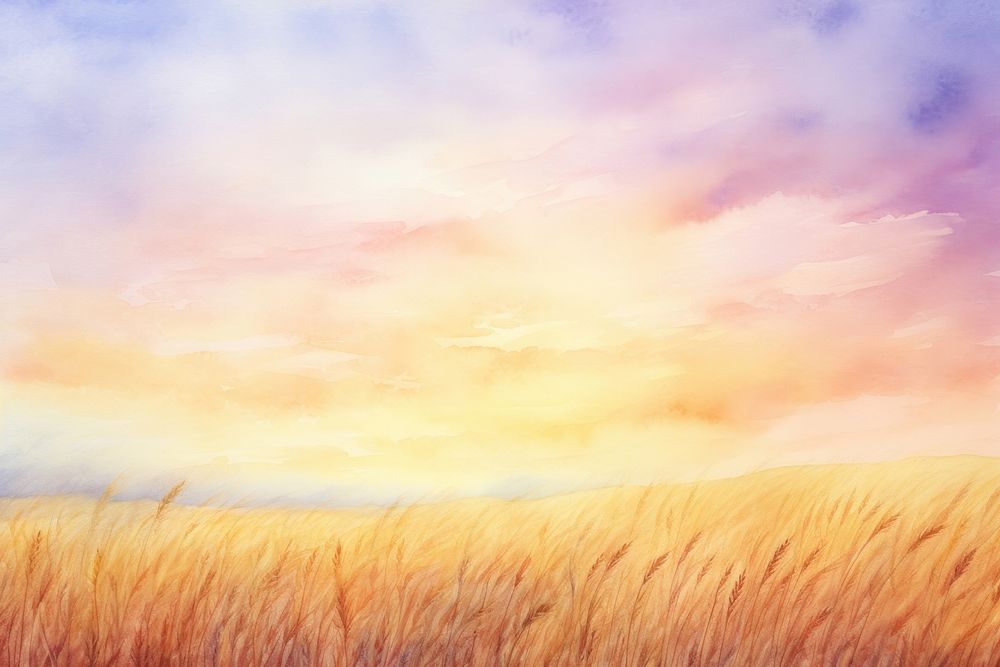 Sunset sky barley fields backgrounds landscape grassland.