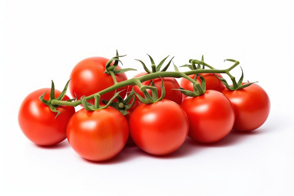 Fresh juicy red ripe tomatoes vegetable fruit plant.