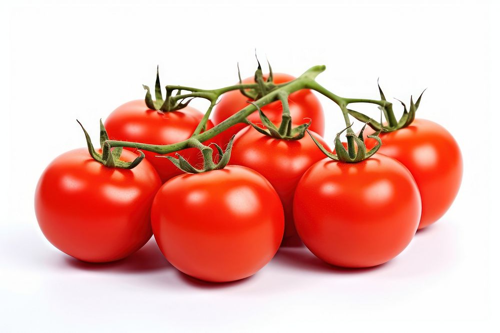 Fresh juicy red ripe tomatoes vegetable fruit plant.