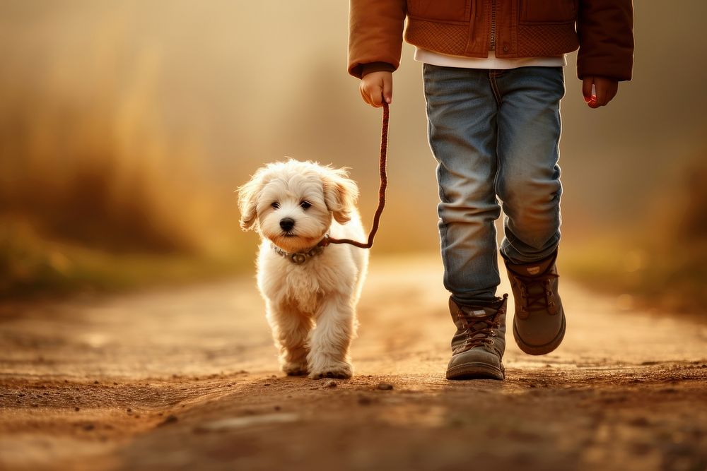 Boy walking a dog mammal animal pet.