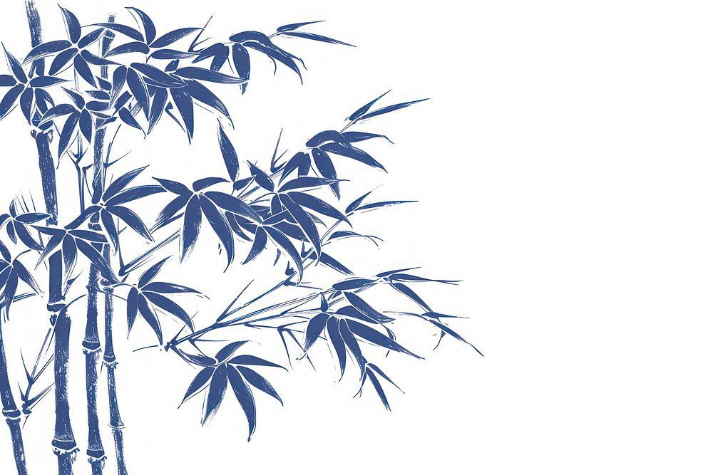 Antique of Chinese bamboo tree backgrounds sketch plant.
