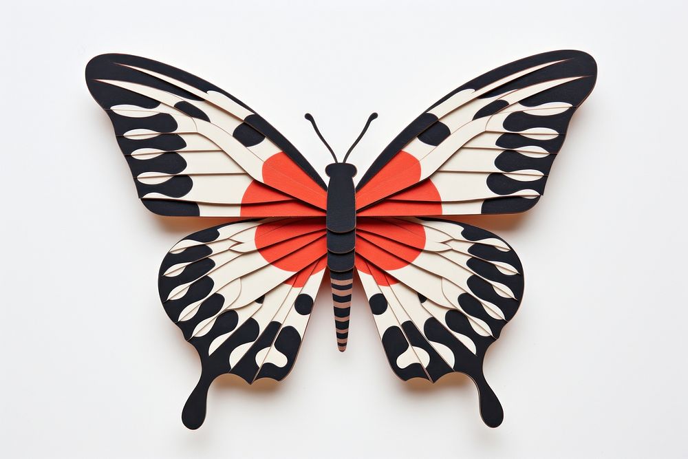 Butterfly animal insect art.
