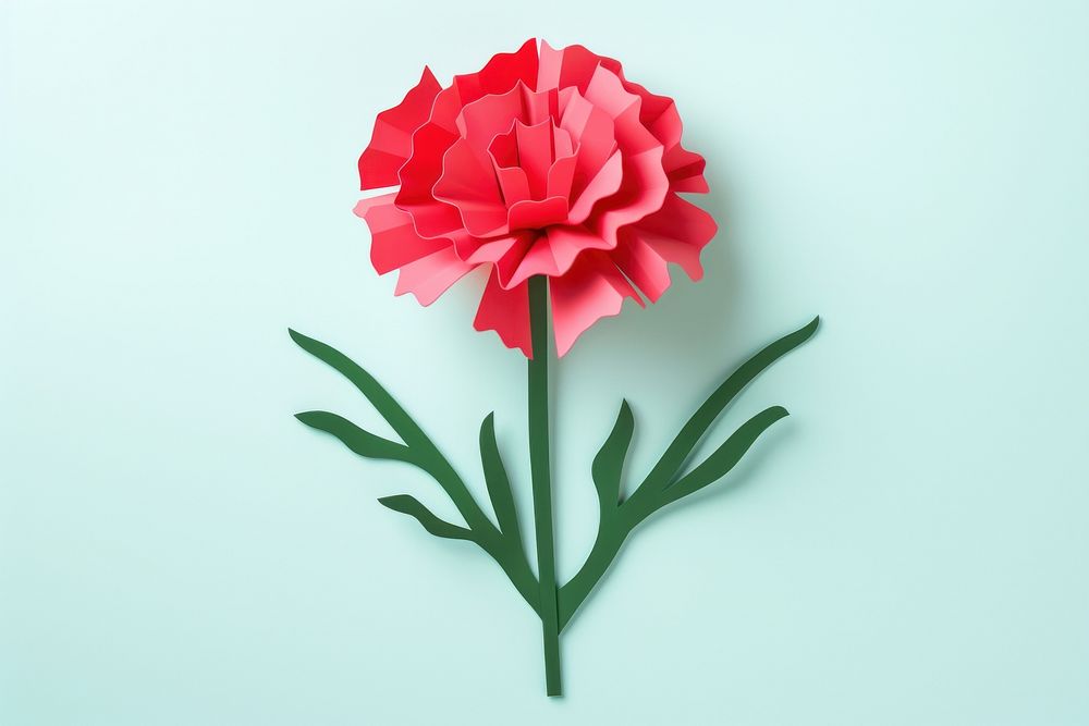 Paper carnation flower plant.