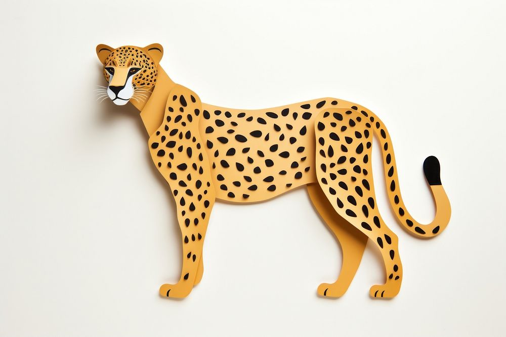 Cheetah cheetah wildlife leopard.