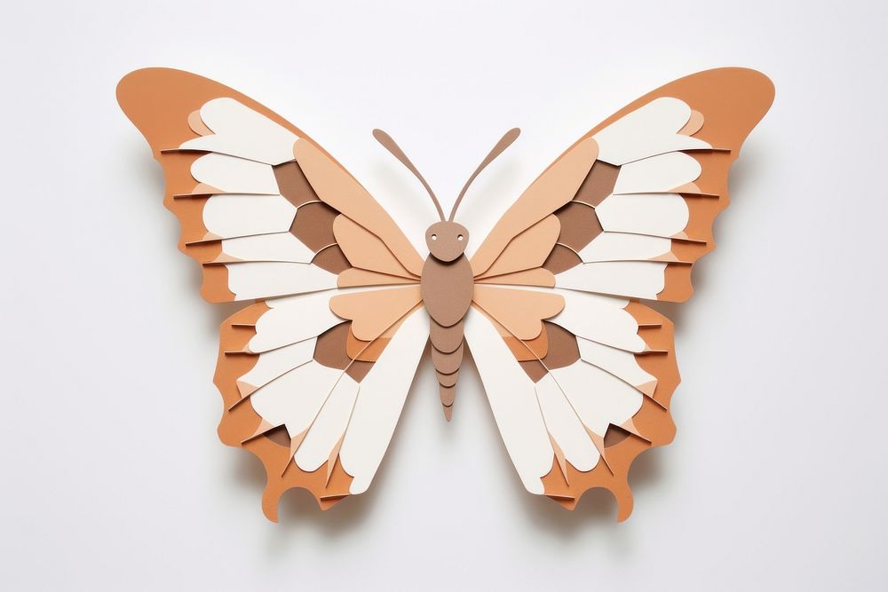 Butterfly insect animal moth.