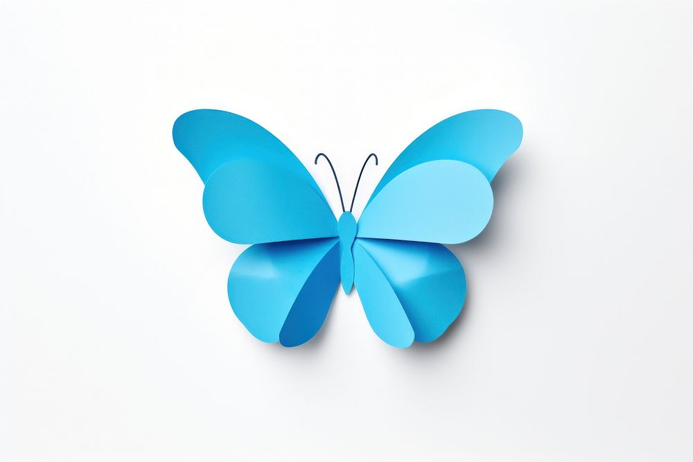 Butterfly turquoise paper blue.