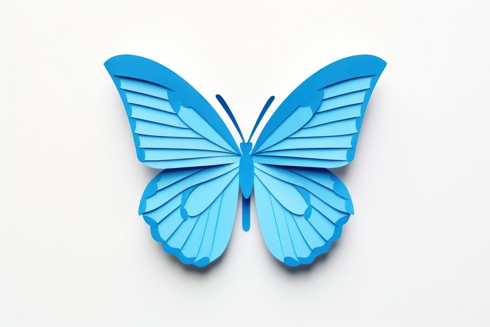 Butterfly turquoise insect paper.