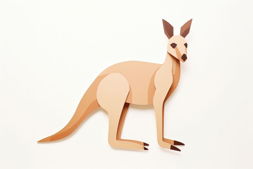 Kangaroo kangaroo wallaby animal.
