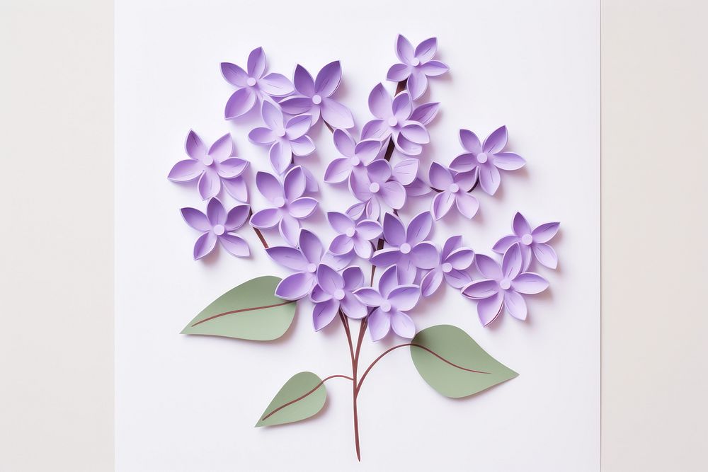 Lilac flower plant art.