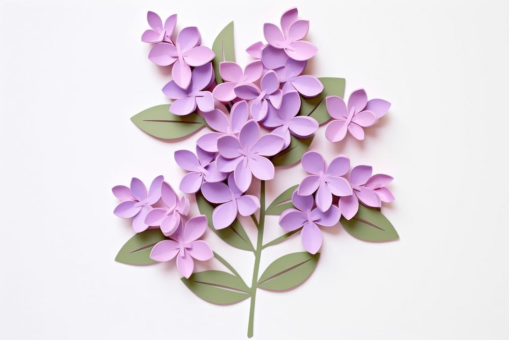Lilac art flower plant.