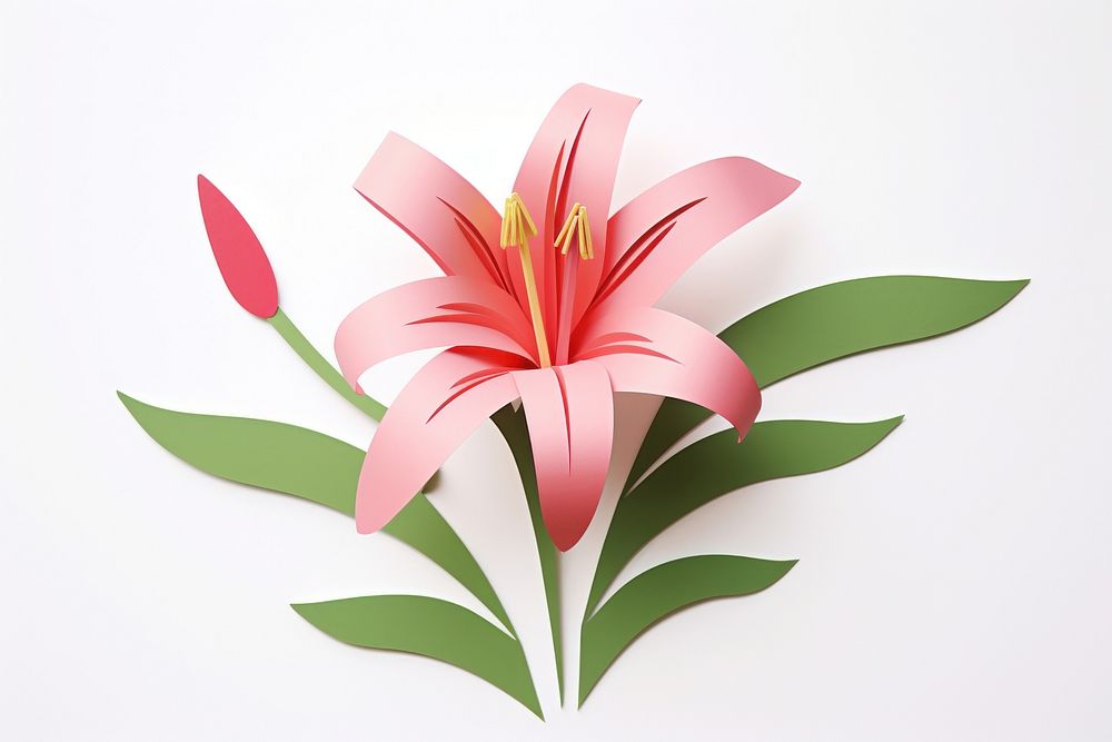 Lily flower plant paper.