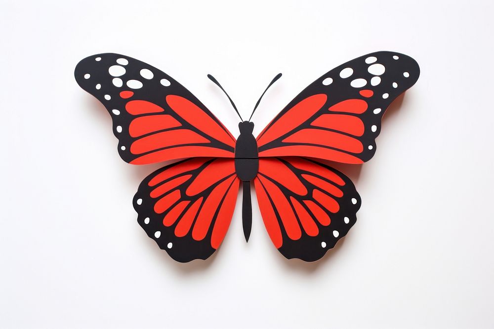 Butterfly insect animal red.