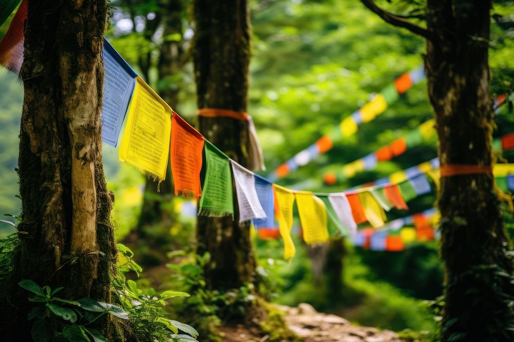Tibetan prayer flags outdoors nature plant.