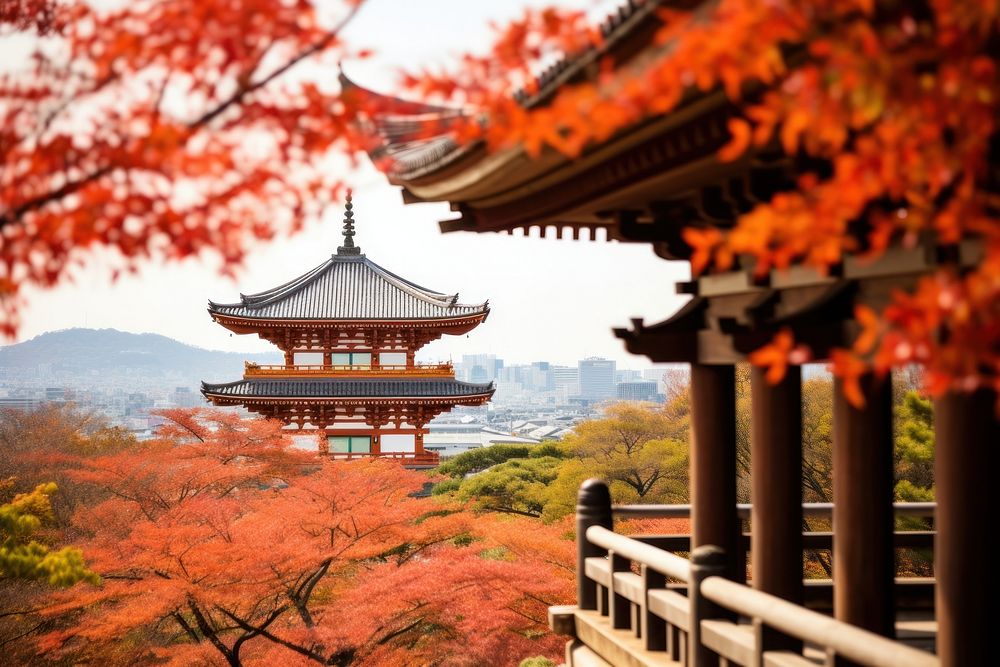 Kiyomizu-dera Temple autumn temple plant.