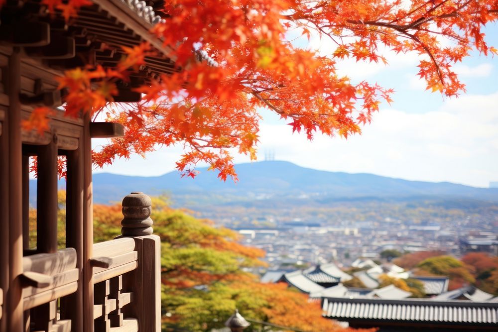 Kiyomizu-dera Temple outdoors autumn nature.