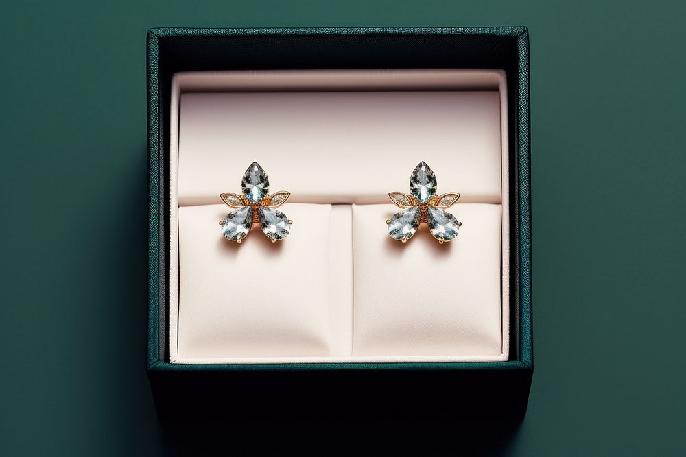 Earring gemstone jewelry diamond.