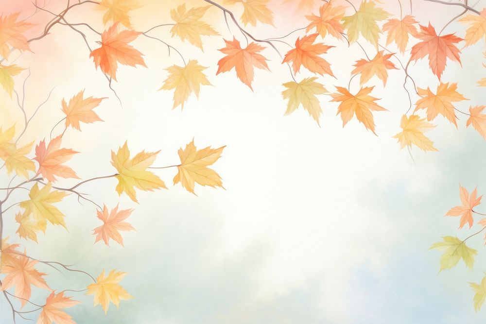 Autumn leaves backgrounds outdoors autumn.