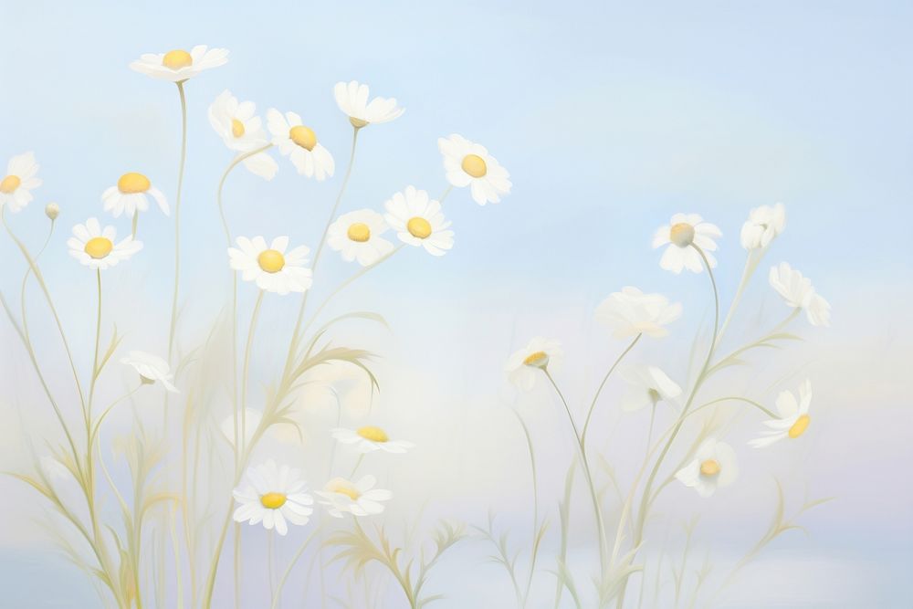 Chamomile backgrounds outdoors painting.