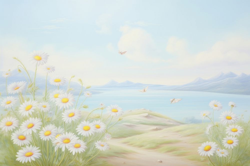 Chamomile painting backgrounds landscape.