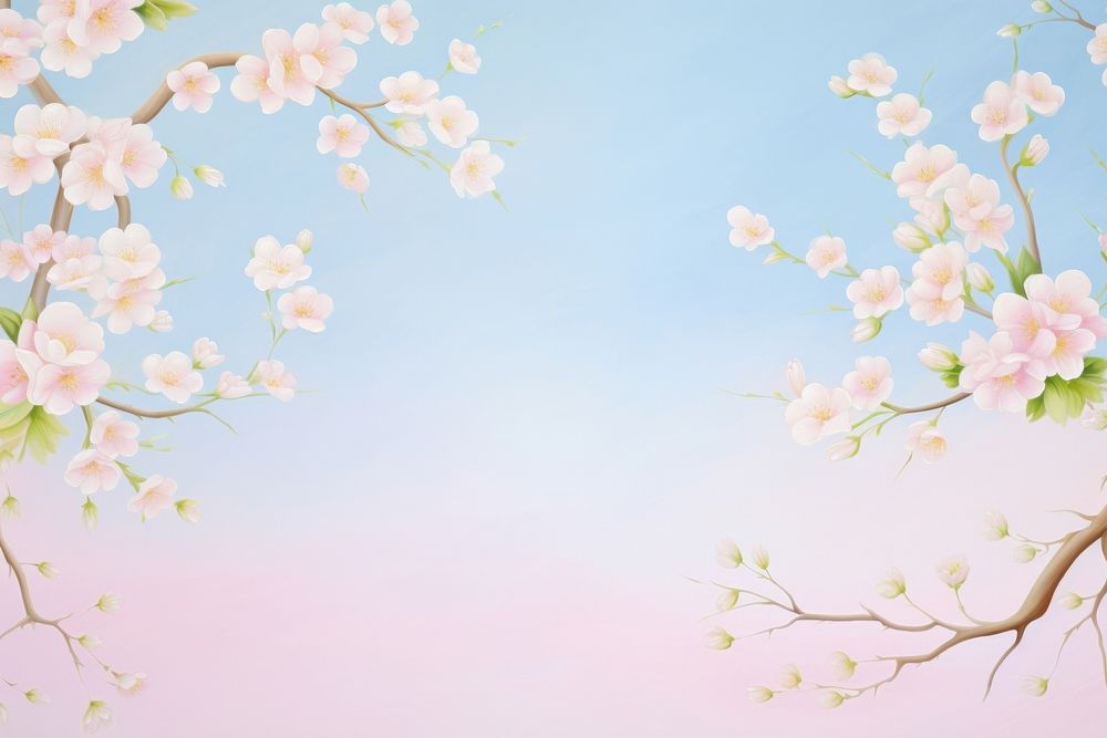 Cherry blossom backgrounds flower nature.