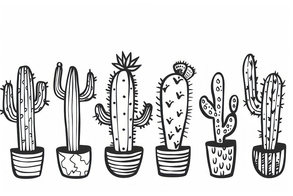 Cactus drawing sketch doodle.