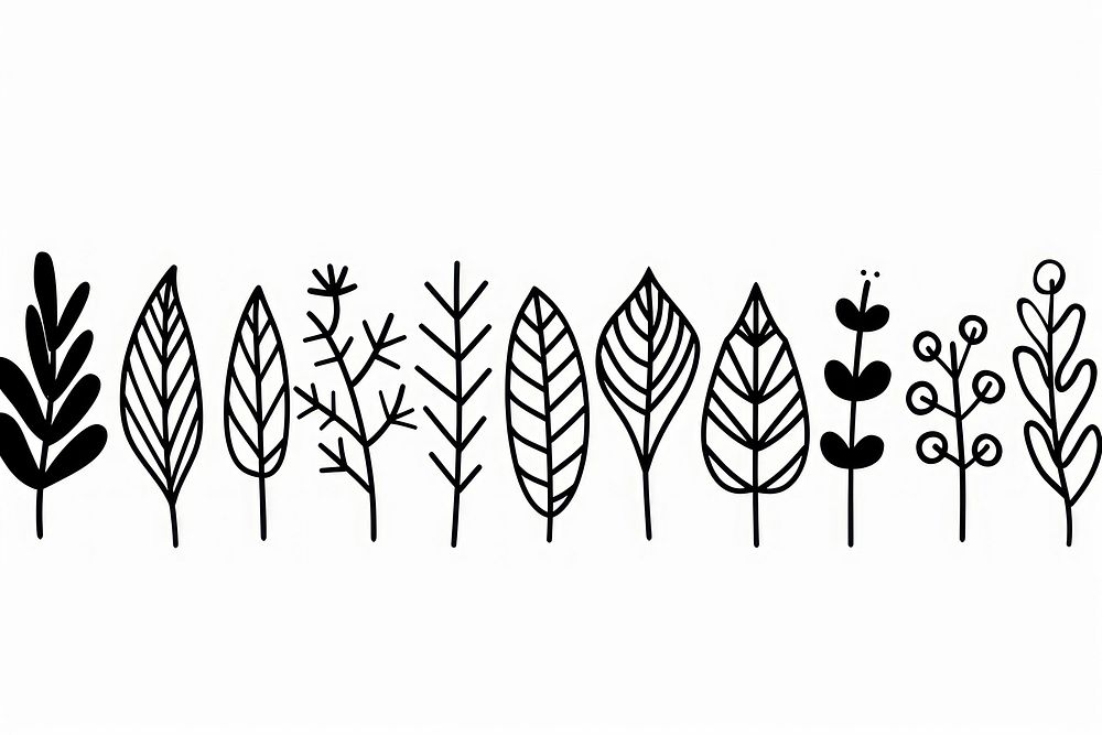 Divider doodle of leaf pattern drawing plant.