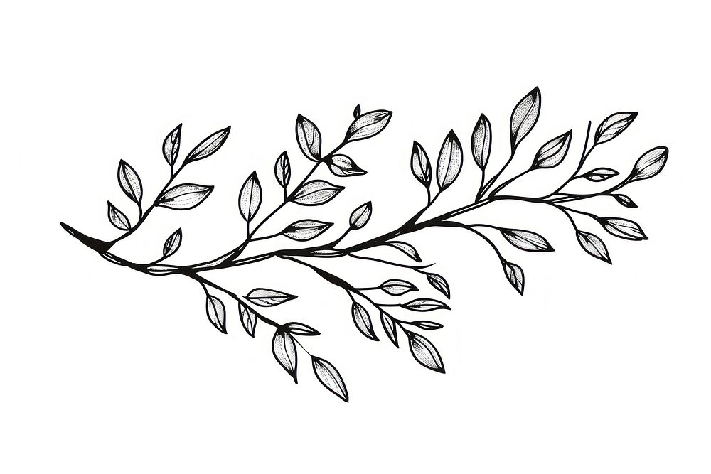 Divider doodle of branch pattern drawing sketch.