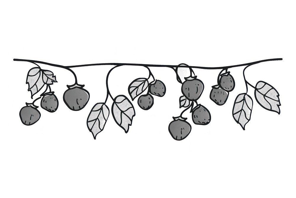 Divider doodle of berry cherry plant fruit.