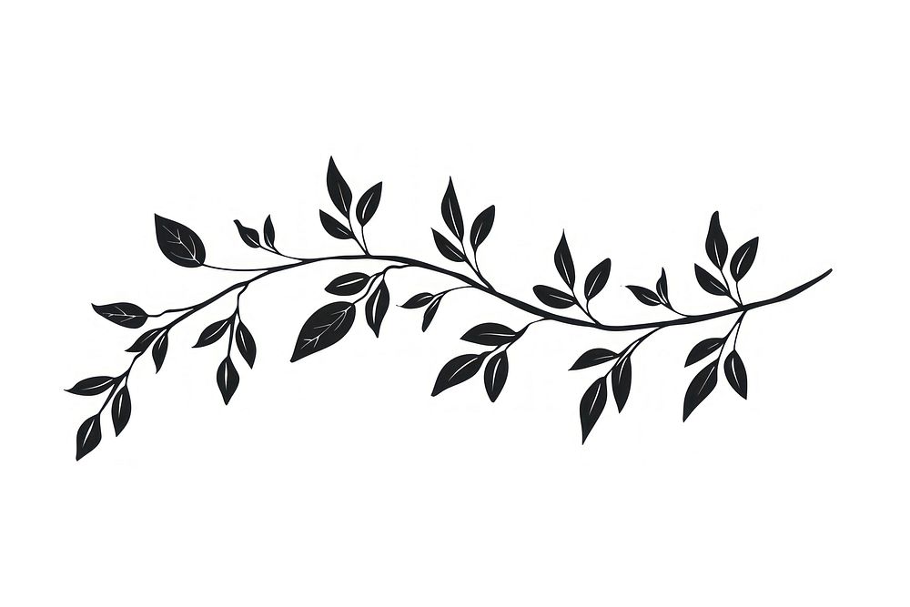 Divider doodle of branch pattern plant line.