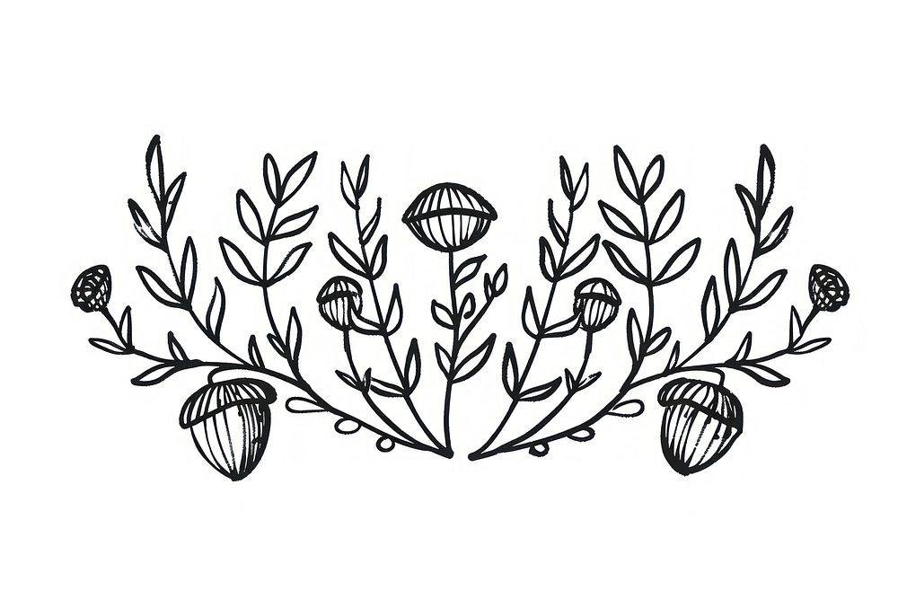 Divider doodle of acorns drawing sketch plant.