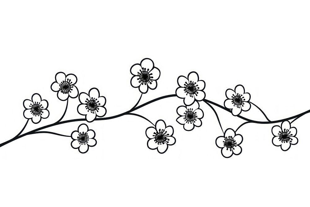 Divider doodle of sakura blossom drawing flower.