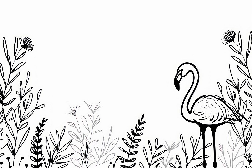 Divider doodle of flamingo backgrounds drawing animal.