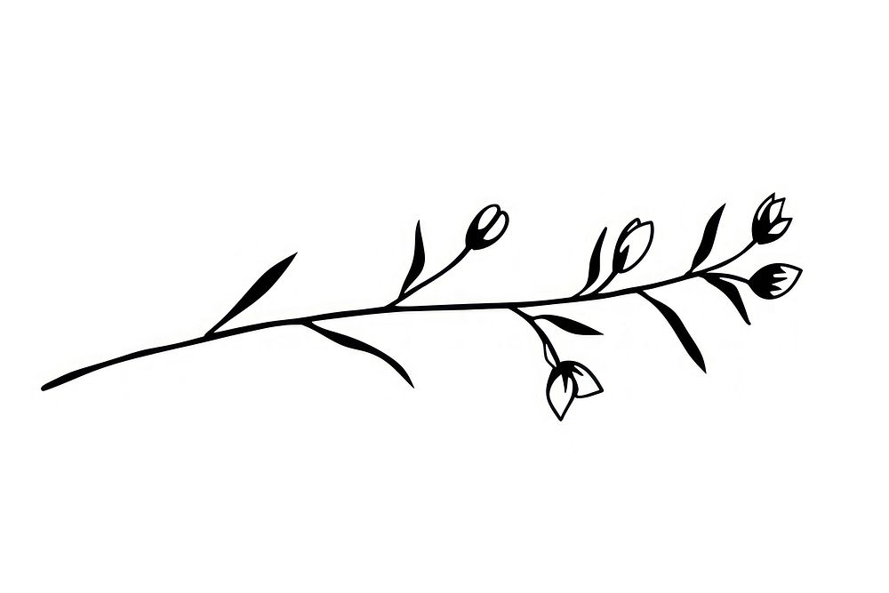 Divider doodle of floral plant white line.