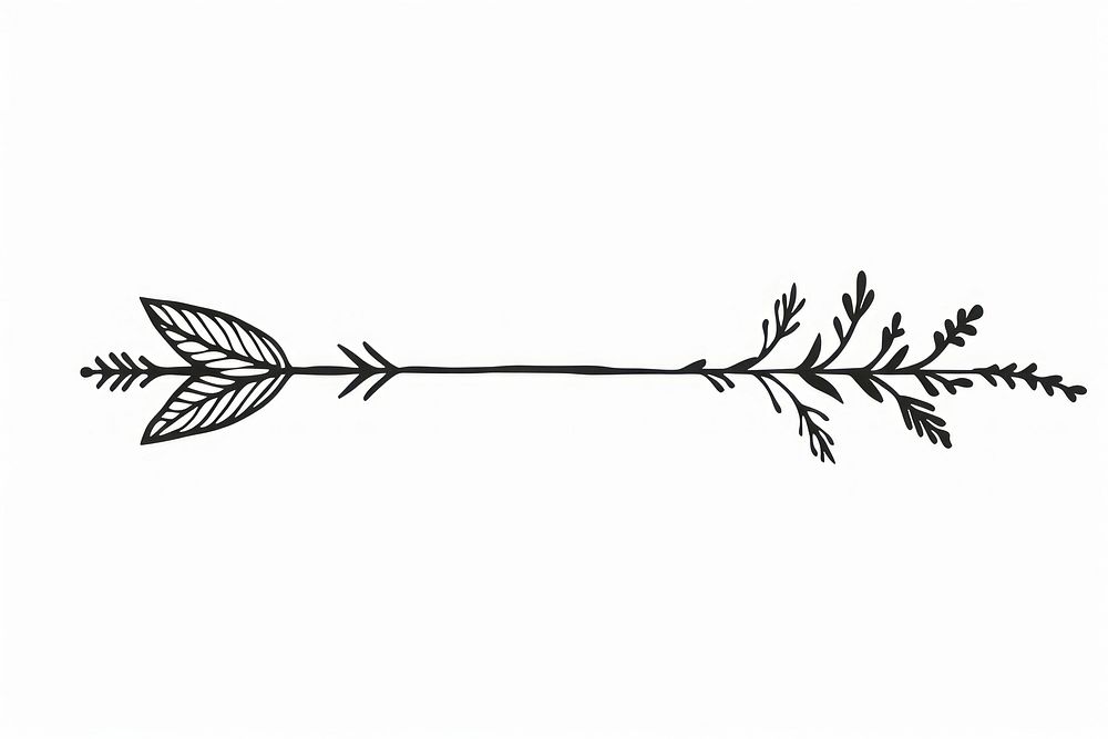 Divider doodle of arrow plant line leaf.