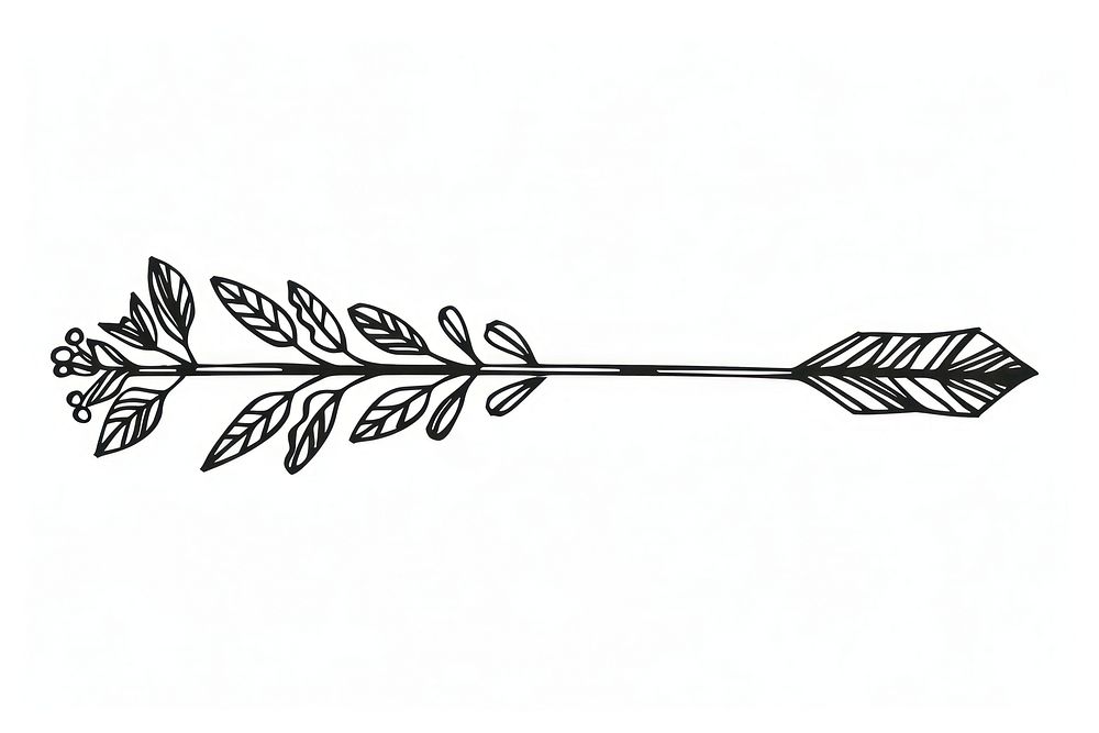 Divider doodle of arrow line white background calligraphy.