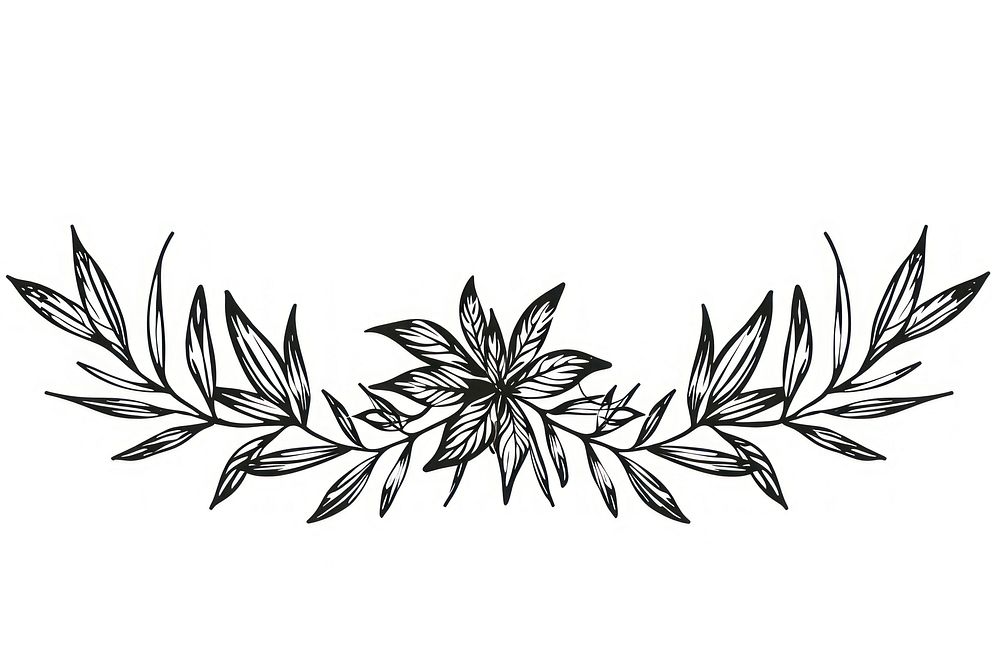 Divider doodle of cannabis pattern drawing sketch.