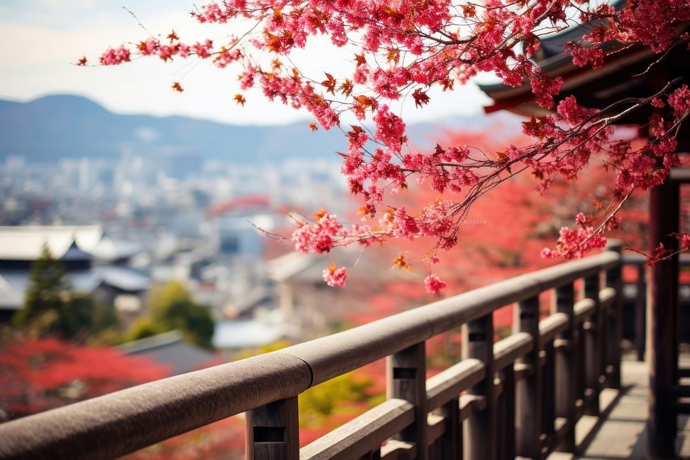 Kiyomizu-dera Temple architecture building outdoors.