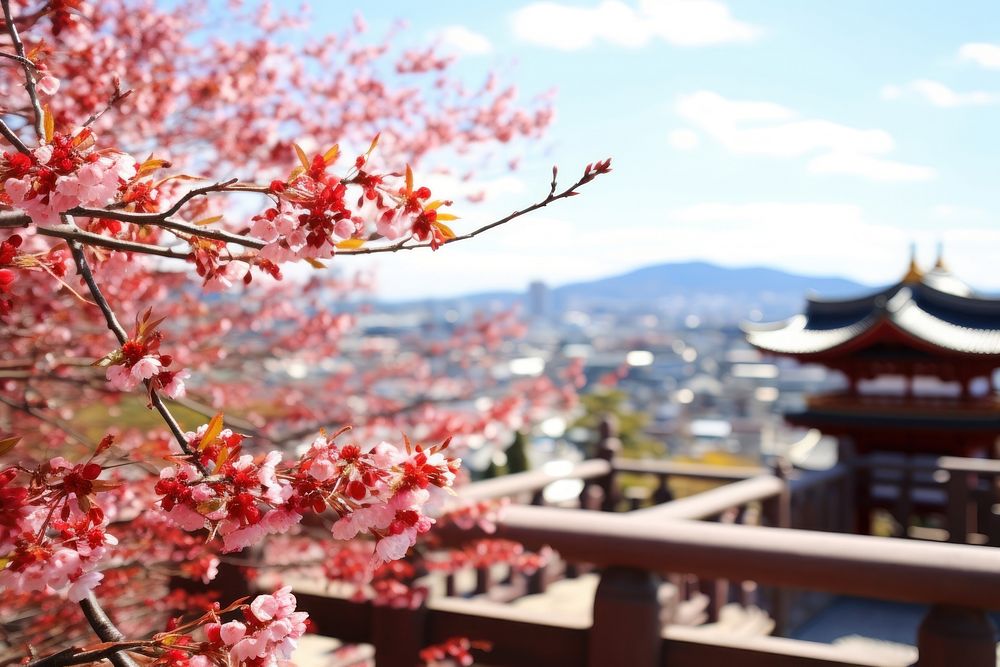 Kiyomizu-dera Temple blossom flower autumn.