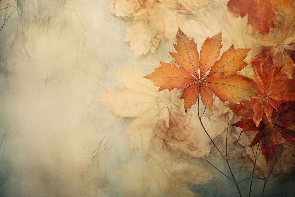 Background autumn leaves soft focus Vintage-inspired.